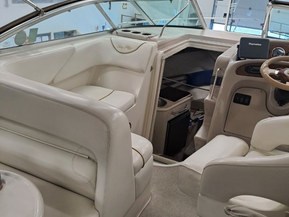 Sea Ray 240 Sundancer