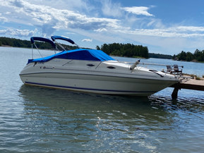 Sea Ray 240 Sundancer