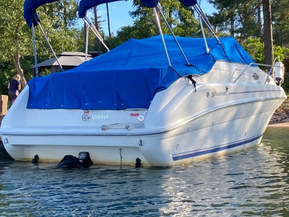 Sea Ray 240 Sundancer