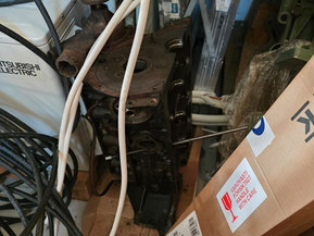 SeaStar 6000 Cruiser