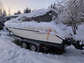 SeaStar 6000 Cruiser