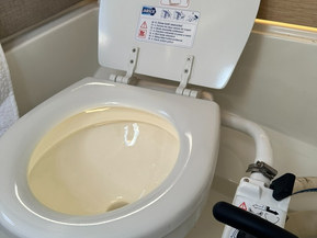 Askeladden C65 Cruiser