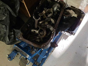 SeaStar 6000 Cruiser