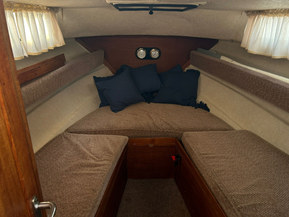Minor 700 Cabin