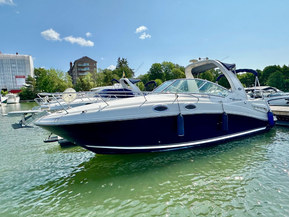 Sea Ray 260/275 Sundancer