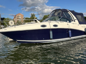 Sea Ray 260/275 Sundancer