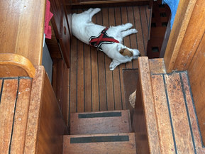 Nauticat Nauticat 33