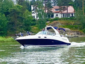 Sea Ray 260/275 Sundancer