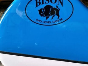 Bison Blue White