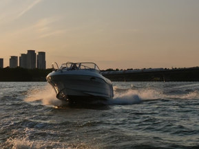 Quicksilver 620 Flamingo