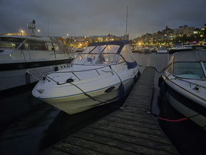 Quicksilver 620 Flamingo