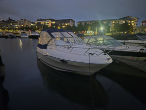 Quicksilver 620 Flamingo