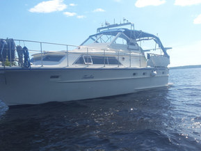 Cytra Skipper Muu malli