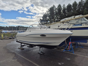 Quicksilver 620 Flamingo