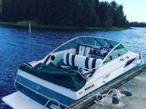 Sea Ray 21 Mid Cabin