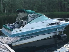 Sea Ray 21 Mid Cabin
