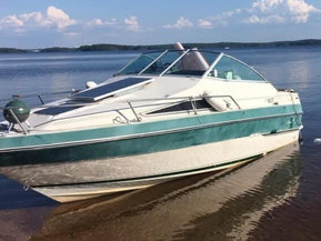 Sea Ray 21 Mid Cabin