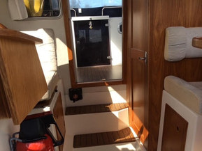 SeaStar Family 23 TD