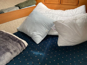 Albatross Flying 870