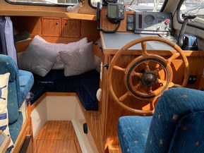 Albatross Flying 870