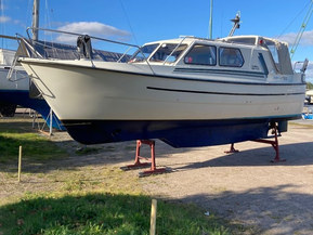 Albatross Flying 870