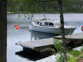 Albatross Flying 870