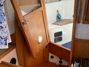 Albatross Flying 870