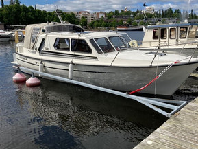 Albatross Flying 870