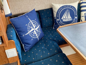 Albatross Flying 870