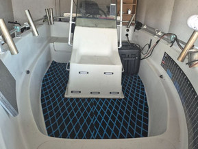 Yamarin 435 Big Fish