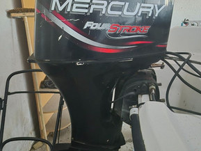 Yamarin 435 Big Fish