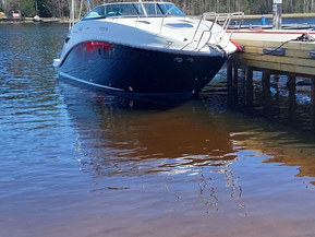 Sea Ray 265 Sundancer