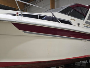 Sea Ray 270 DA