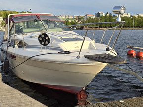Sea Ray 270 DA
