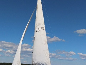 Finn 26
