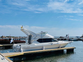 Bayliner 288