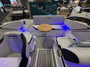 Sea Ray 210 SPX