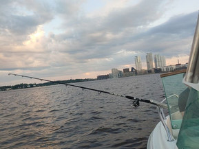 Finnmaster 520 Troller