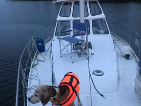 Muu merkki Muu malli