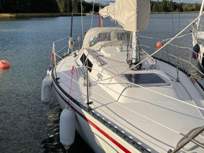 Finn Flyer 31