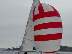 Finn Flyer 31