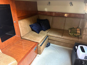 Sea Ray 395 Sundancer