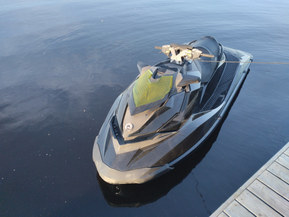 Sea-Doo RXP-X 260 RS