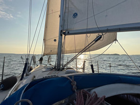 Helmsman 31