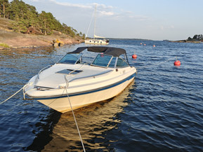 Sea Ray 200 CC