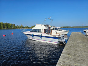 Bayliner 2556
