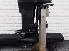 Evinrude 40 hv