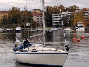 Helmsman 31