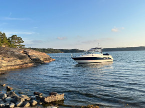 Finnmaster 6600 WA Exclusive