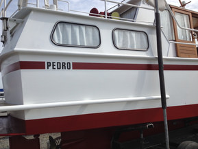 Pedro 35